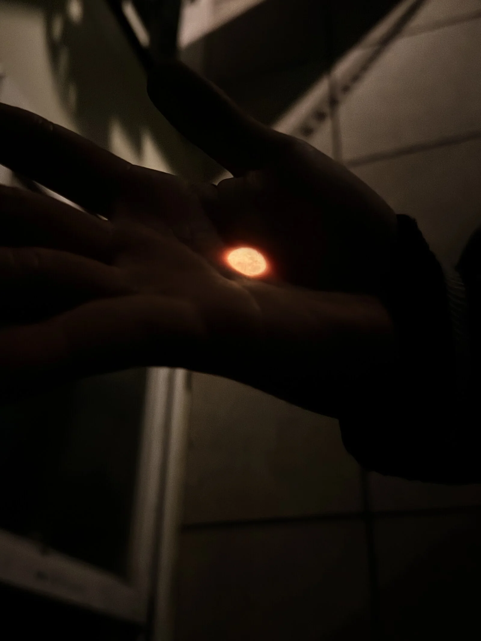 A projected image of the Sun caught on a palm during a solar observation.